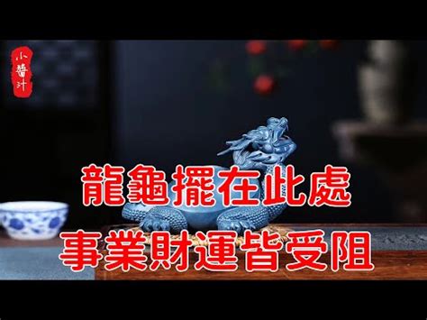 龍頭烏龜身|【龍頭烏龜身】龍頭烏龜身，招財化煞好運連連！揭密神獸龍龜的。